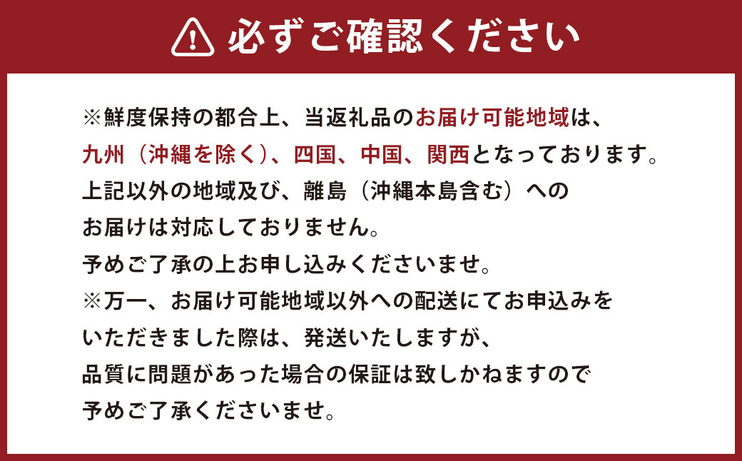  熊本県産 苺 旬の品種 （2種） 約1.5キロ 前後