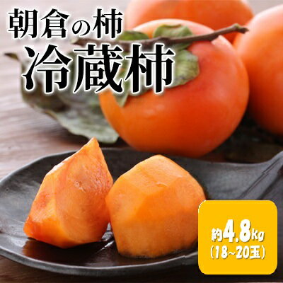 【ふるさと納税】冷蔵柿 富有柿 約4.8kg 1箱 18玉～20玉 福岡県朝倉市産 甘柿 産地直送 筑前あさくら農協　お届け：2026年12月下旬～2027年2月中旬