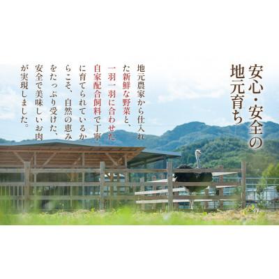 ふるさと納税 美里町 国産オーストリッチ外モモ肉　700g◆ダチョウ肉 |  | 02