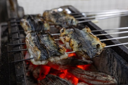 冷凍　黒うなぎの白焼　200g