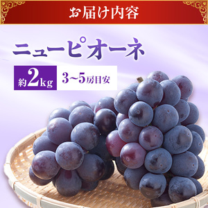 ぶどう 2026年 先行受付 ニューピオーネ 秀品 約2kg(3～5房) 岡山