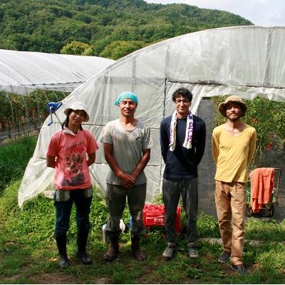 ふるさと納税 島牧村 【北海道産トマト使用】無添加で素材の味にこだわった、高糖度フルーツトマトジュース(1L×2本) |  | 03