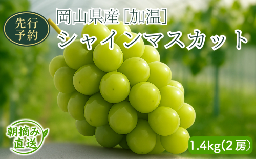 【2026年先行予約】［加温］岡山県産シャインマスカット 1.4kg（２房入）