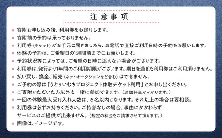 【ふるさと納税】☆沖縄芸能満喫体験☆～沖縄貸衣装体験付き～