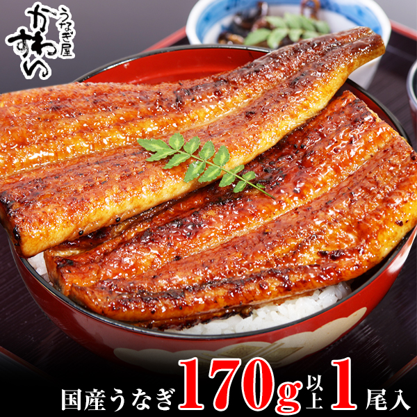 1003.特大サイズ国産うなぎ蒲焼き170g1本セット(A1003-1)