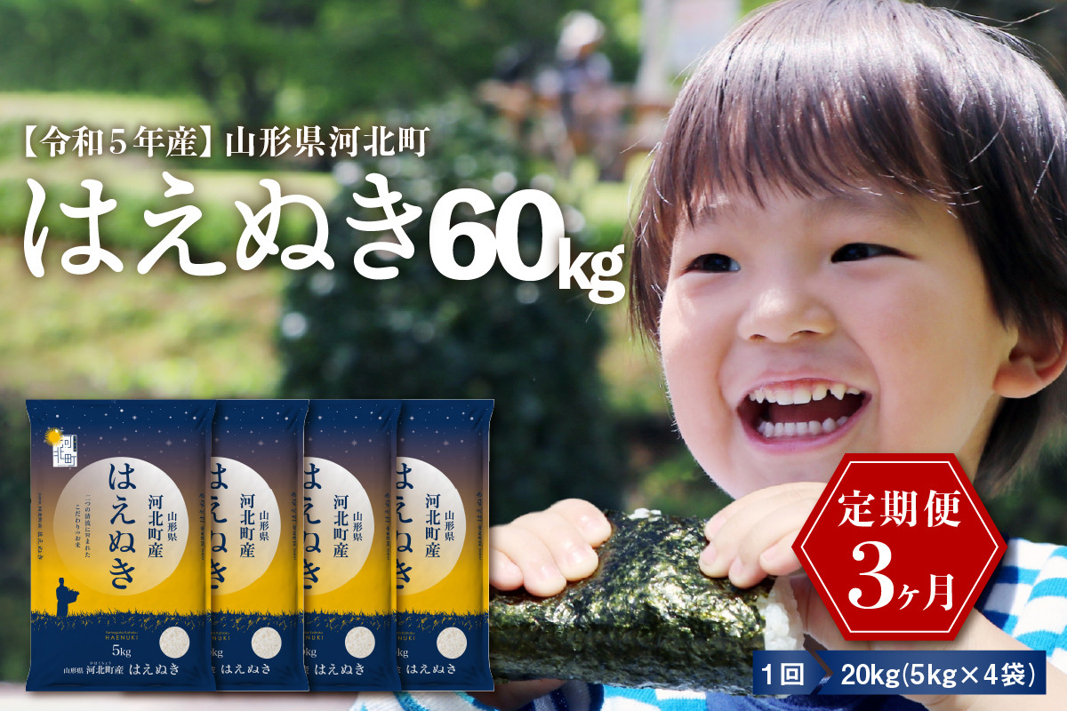 
【令和5年産米】※選べる配送時期※ はえぬき60kg（20kg×3ヶ月）定期便 山形県産※2023年10月より発送※【米COMEかほく協同組合】
