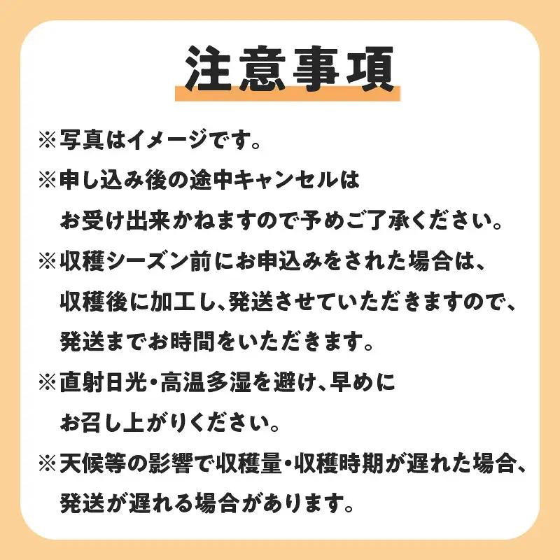 【先行受付】沖永良部島の甘くて美味しい無添加ドライフルーツ（パパイヤ）30g×3袋 W051-007u 加工品 果物