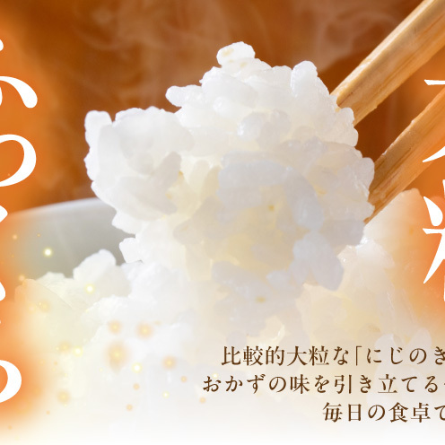 令和8年産 泉佐野産 にじのきらめき 5kg G5607
