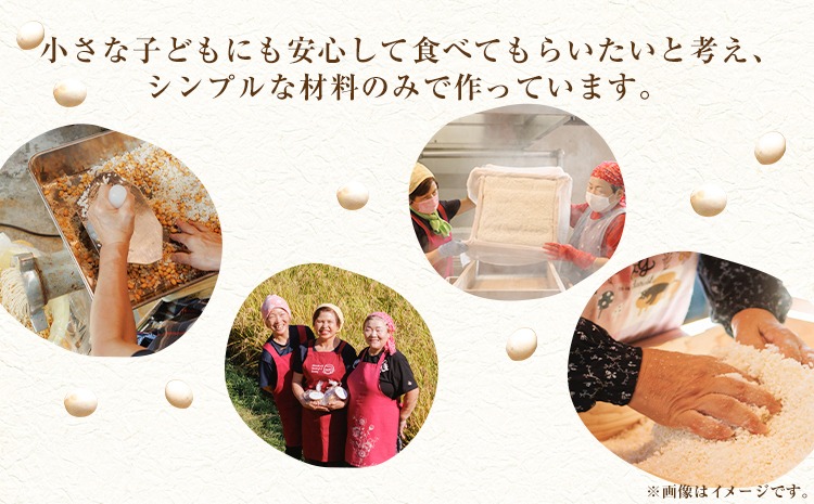 みそ 味噌 七滝みそ 約3kg 七滝元気組 《30日以内に発送予定(土日祝除く)》熊本県 御船町 無添加 化学調味料不使用 調味料 味噌汁 みそ汁---sm_cngkmiso_24_30d_14500_3kg---