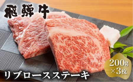 白川郷 飛騨牛 リブロース ステーキ 200g×3枚 計600g ステーキ [S374]