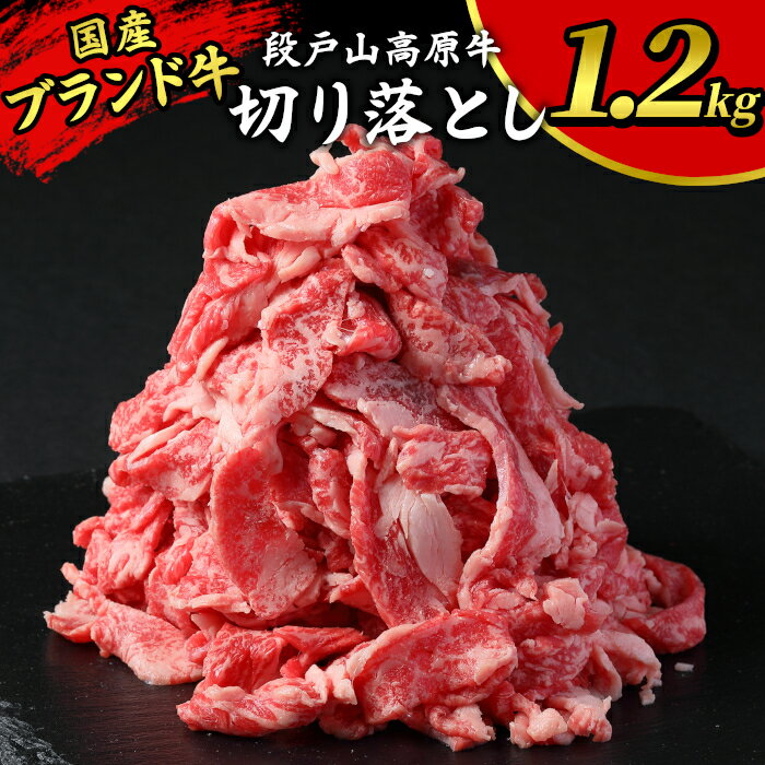 【ふるさと納税】 期間限定特別規格★国産ブランド牛 切り落とし 1.2Kg (200g×6） 小分け 段戸山高原牛 幻 牛 国産 牛肉 牛 スライス 地域 限定 小分け 大満足 赤身 肉 数量限定 肉 牛肉切り落とし 牛切り落とし 国産牛 ブランド牛 10000円 10,000円 -039