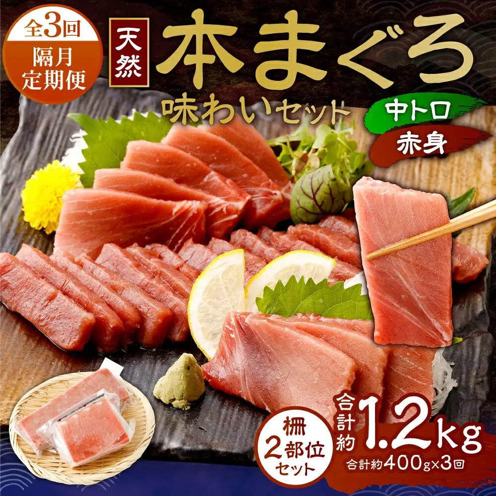 【定期便/計3回】天然本マグロ 400g（天身・中トロ） 【まぐろ】tk171 FN-Limited-PR