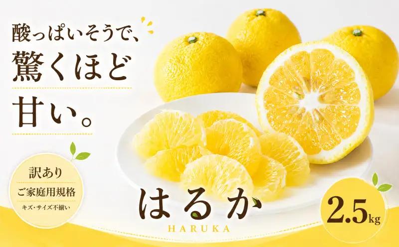 ＜訳あり 愛媛県産はるか 合計約2.5kg＞『2027年2月上旬～3月下旬迄に順次出荷予定』 上品な甘さ 甘い あまい 果汁 果物 くだもの フルーツ みかん オレンジ 柑橘 人気柑橘 特産品 株式会社OSN 愛媛県 西予市 【常温】OOS0013