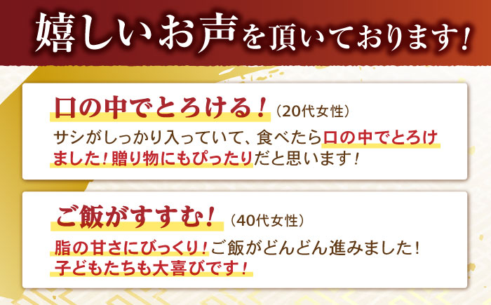 【6回定期便】【二大高級部位！】サーロイン と ヒレ ステーキ 計700g (各2枚) / 長崎和牛 A4～A5ランク 希少部位 / 諫早市 / 野中精肉店 [AHCW082]