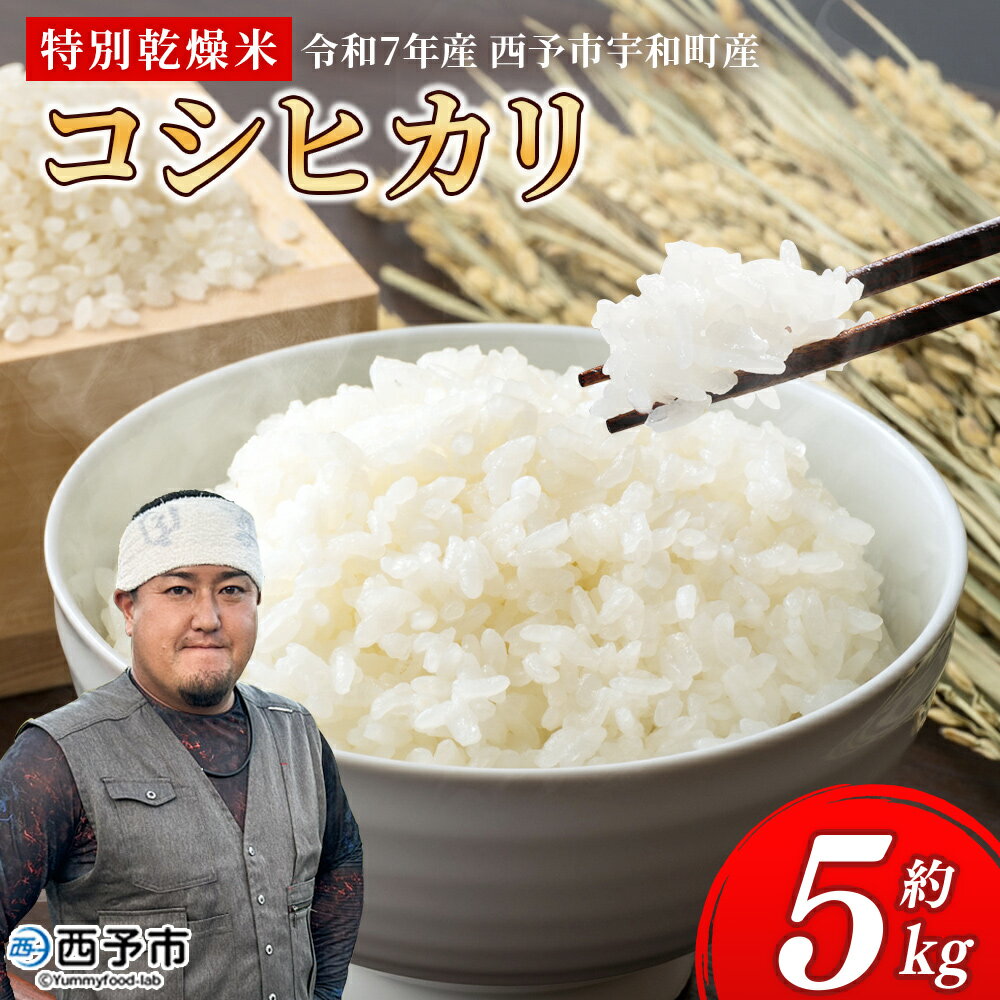 【ふるさと納税】＜令和7年産 コシヒカリ 5kg＞国産 白米 精米 5キロ 愛媛県産 宇和町産 宇和米 こしひかり お米 米 コメ こめ ご飯 うわまい ライス 特別乾燥米 産地直送 送料無料 特産品 福井ファーム 愛媛県 西予市【常温】『2025年12月中旬から順次発送予定』