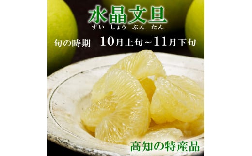 【先行予約】水晶文旦 ご家庭用お得箱 約６kg Mサイズ～４Ｌサイズ（12～１６個入り）〈2026年10月上旬～11月上旬頃発送〉訳あり ワケあり 訳 傷 キズ へこみ 文旦 ブンタン ぶんたん 水晶文旦 果物 柑橘 フルーツ 家庭用 ご自宅用