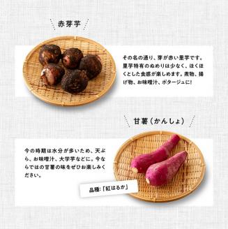 【定期便】産直おすず村 季節の野菜と果物 厳選 詰め合わせセット（小） 全4回【旬野菜 フルーツ 直売所 産地直送 宮崎県産】[G3802]