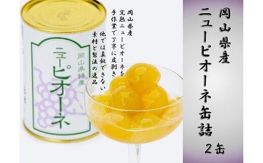 岡山県産 ニューピオーネ 缶詰 ２缶【 フルーツ 果物 フルーツ缶 葡萄 ぶどう おすすめ 岡山県 】