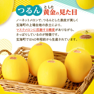 ★予約受付★（2024年5月以降発送）玄海町産キンショウメロン～4個～