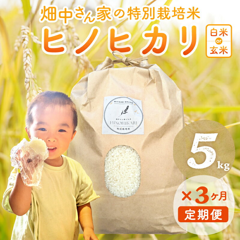 【ふるさと納税】R7年産予約受付【3ヶ月定期便】 特別栽培米（減農薬米） ｢ひのひかり｣ 白米 玄米 可 5kg ～10kg 奈良県 三宅町 ヒノヒカリ おいしい 冷めても もちもち 安心