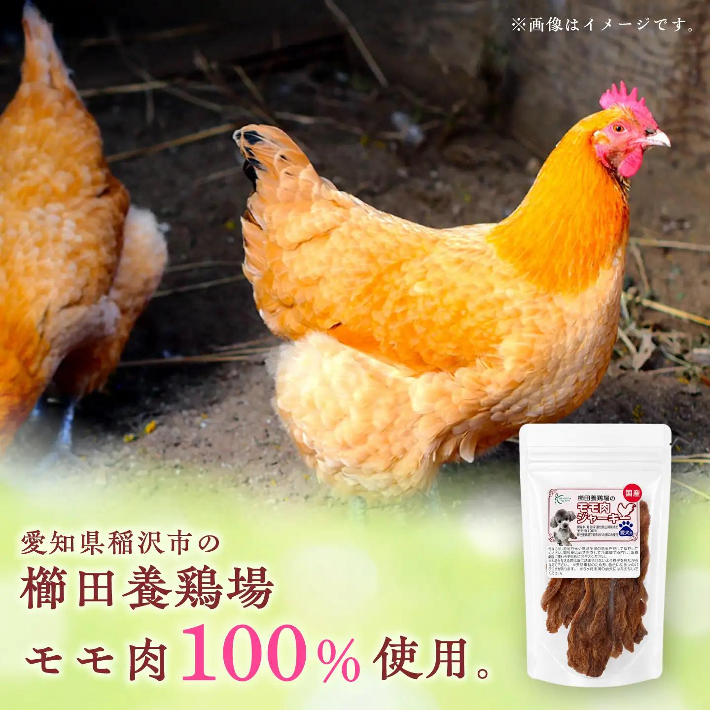 モモ肉ジャーキー （40g×2袋）×2セット / おやつ ペットフード 国産　/ 稲沢市 / 櫛田養鶏場[BMAY016]