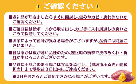 芋名人が認めるさつまいも『洗い済み　紅はるか』～2Lサイズ12本入り～_LE-L703_(都城市) 宮崎県都城産 紅はるか 2Lサイズ(12本)