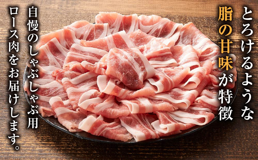 富士ケ嶺ポーク ロース しゃぶしゃぶ 1kg （500g ×2パック）