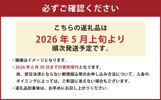 熊本県産 大玉スイカ1玉と肥後グリーンメロン1玉 合計2玉 【2026年5月上旬発送開始】 果物 フルーツ 大玉 スイカ 大玉スイカ 青肉 メロン 肥後グリーンメロン