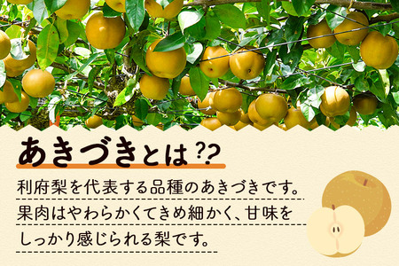 数量限定 利府梨（あきづき）5kg（10玉前後）先行受付 梨