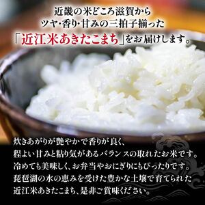 令和6年産 新米 白米 10kg あきたこまち 5kg × 2袋 精米 近江米 アキタコマチ 国産 お米 米 おこめ ごはん ご飯 白飯 しろめし こめ ゴハン 御飯 滋賀県産 竜王 ふるさと ランキ