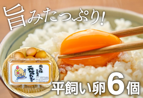 A-792 新鮮！季節のお野菜と平飼い卵のセット（8～10品）