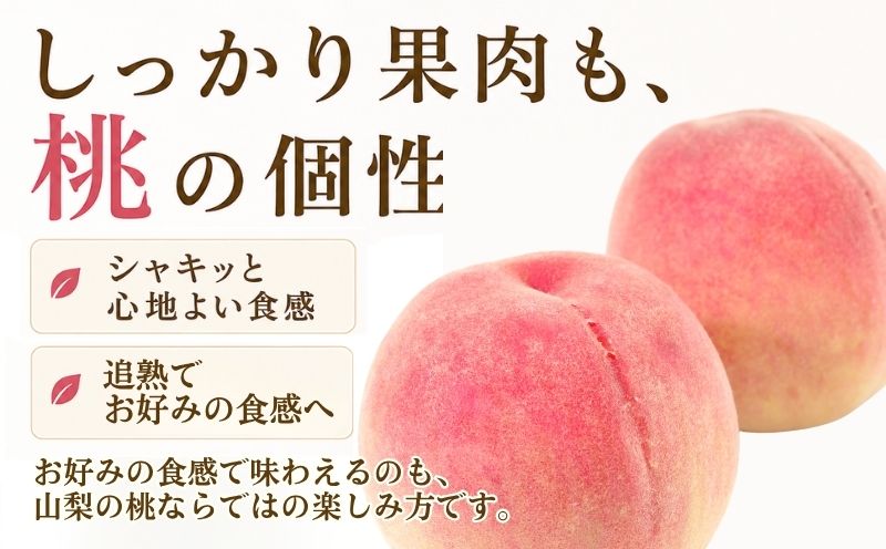 【2027年発送！ 先行予約】日本一の産地山梨県産　朝採れ桃　約２kg(５～８玉） | 厳選 品種 おまかせ もも モモ 日川白鳳 あさま なつっこ 夢みずき あかつき スイーツ ピーチ フルーツ デ