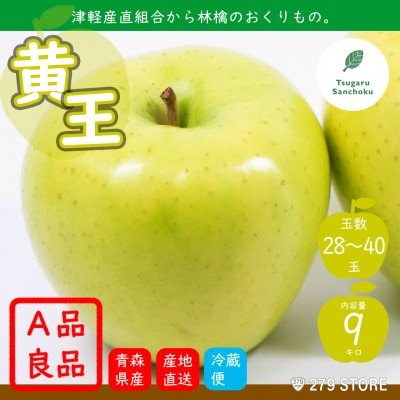 りんご 黄王(きおう)2022年9月より順次発送 A品 9kg (28～40玉)津軽産直組合直送【配送不可地域：離島】