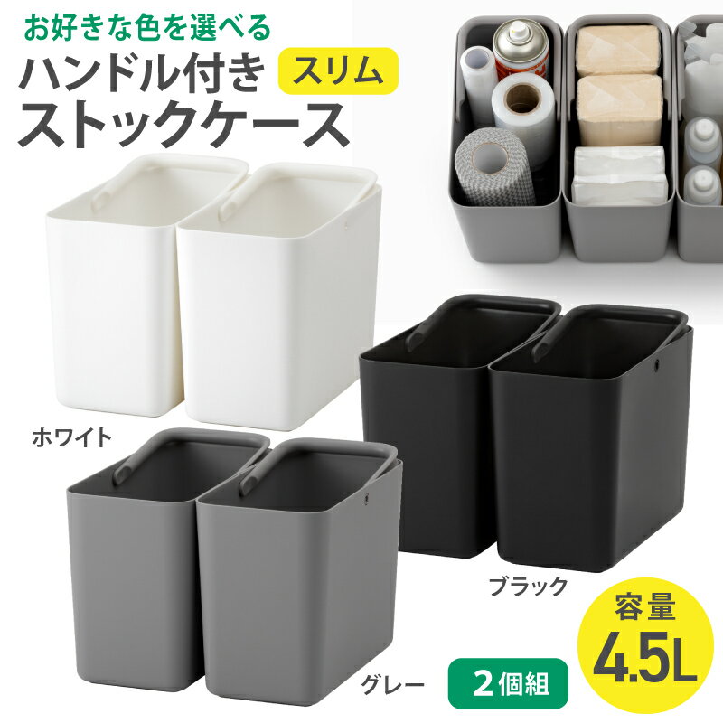 【ふるさと納税】 ハンドル付きストックケース スリム 2個組　LBK-53 2P (3色からお好きなカラーが選べる) ／ ホワイト グレー ブラック キッチン用品 ストックケース 米びつ お米ストック ライクイット like-it