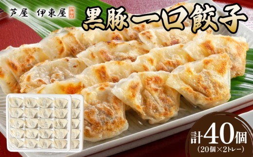 芦屋 伊東屋 謹製 黒豚 一口餃子 40個（醤油タレ 付き）【餃子 ぎょうざ ギョーザ 中華 点心 惣菜 おかず おつまみ 冷凍総菜 ジューシー 鹿児島産 黒豚 国産豚 豚肉 もちもち皮 肉汁たっぷり