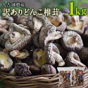 【ふるさと納税】人吉球磨産 訳あり しいたけ どんこ 椎茸 1kg 500g×2袋 熊本県人吉産 原木栽培椎茸 乾しいたけ 干し椎茸 干ししいたけ 乾椎茸 ご家庭用 九州 3〜4cmの肉厚 業務用 送料無料