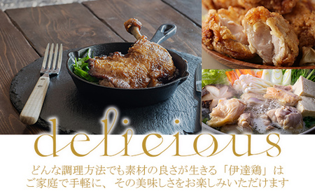 「鳥幸の水炊き」伊達鶏スープのミールキット（2人前） F20C-460