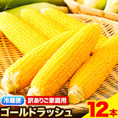 【ふるさと納税】朝採りとうもろこし スーパースィート 「ゴールドラッシュ」 訳あり ご家庭用 12本 《8月上旬-8月末頃出荷》嶋崎農園 送料無料 北海道 本別町北海道 十勝 本別町産 スーパースイート トウモロコシ 一番果 冷蔵便 甘い