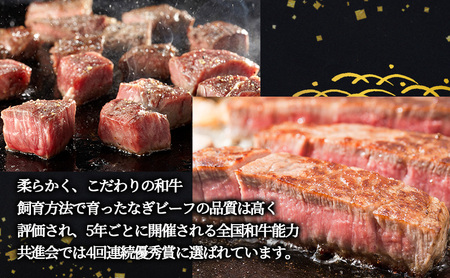 ステーキ 奈義 和牛ヒレ ステーキ 900g（シャトーブリアン 4枚 600g ＆サイコロ 300g） 和牛