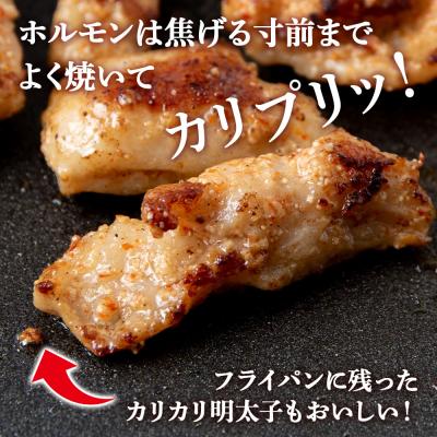 ふるさと納税 千歳市 明太子入り 味付けジンギスカン ホルモン 各2パック 計4パック<肉の山本> |  | 02