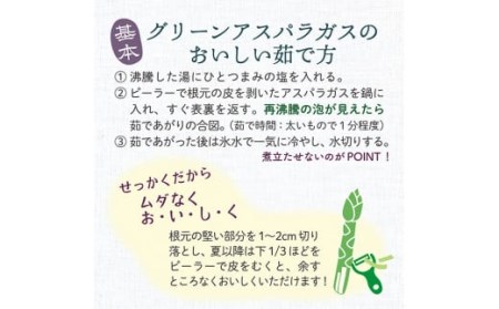 JA【令和6年産予約】最上町特産グリーンアスパラ2kg