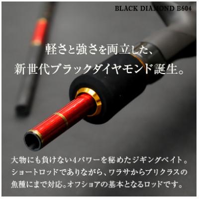 ふるさと納税 潮来市 ウォーターランド ジギングロッド ブラックダイヤモンド ベイトロッド B604 村田基監修 |  | 01