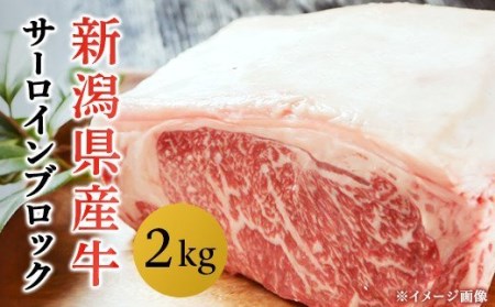 76-70B新潟県産牛（長岡産）サーロイン2kgブロック