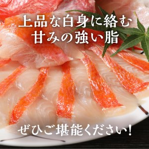 【渡辺水産】【生】でお届け！こだわりの地金目鯛しゃぶしゃぶ満喫セット(3?4人前)