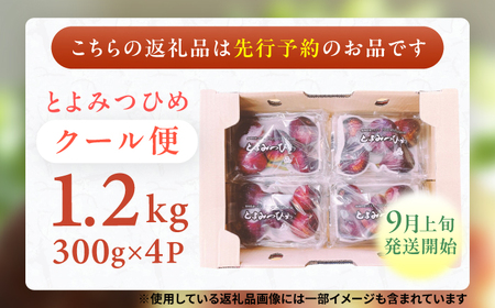 【★先行予約★ 2026年9月上旬より発送】いちじく（とよみつひめ） 約1.2kg / いちじく[AFAB067]