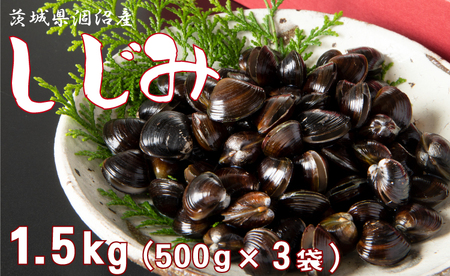 冷凍しじみ 1.5kg （500g × 3袋） しじみ _AF039