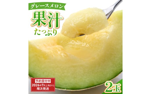 グレースメロン 2玉 メロン 贈答用 甘い フルーツ ハウス 空中栽培 国産 めろん 果物 くだもの デザート おすすめ 人気 旬 青果 果実 果汁 贅沢 ご褒美 内藤園芸 静岡県 三島市