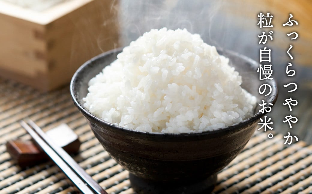 テレビで話題★【令和7年度産】 三田米 コシヒカリ 5kg 米 こめ コメ お米 おこめ オコメ 精米 白米 もちもち つやつや ご飯 ごはん ふるさと納税 ふるさと 人気 おすすめ 送料無料 兵庫県