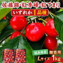 【ふるさと納税】さくらんぼ 佐藤錦 紅秀峰 紅てまりのどれか1品種 1kg Lサイズ 贈答用 ＜有我果樹園＞ F7X-0229