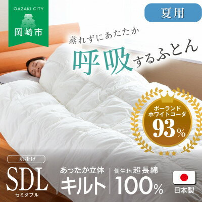 【ふるさと納税】[夏用]究極に軽く、蒸れない羽毛ふとん (セミダブルロングサイズ)170×210cm(PWC)【1639827】
